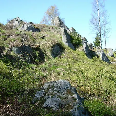 Sunny Holiday Near The Forest * Stadlern