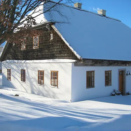 Sunny Holiday Near The Forest Stadlern