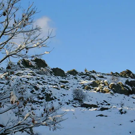 Sunny Holiday Near The Forest Stadlern